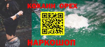 крисы Кингисепп