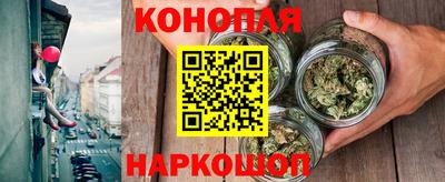 индика Кинель