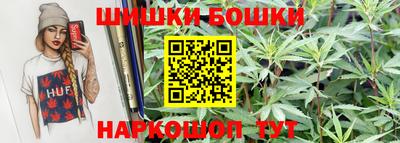 крисы Кингисепп