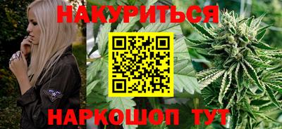 крисы Кингисепп