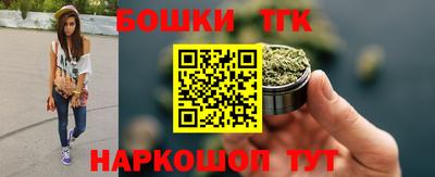 крисы Кингисепп