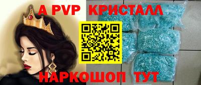 крисы Кингисепп